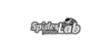 SpiderLab Flavour